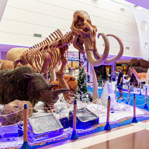 Visita Guiada Exposição Gigantes do Gelo
