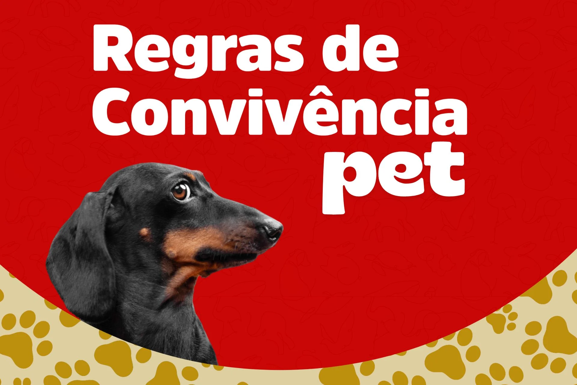 Imagem de cachorro desconfiado em um fundo vermelho e detalhe amarelado de patas de cachorro. O texto em destaque em letras brancas é: Regras de Convivência Pet